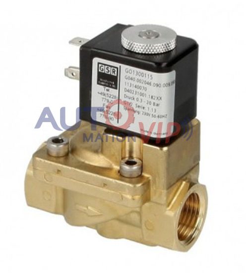 D40241001.182XX GSR Solenoid Valve