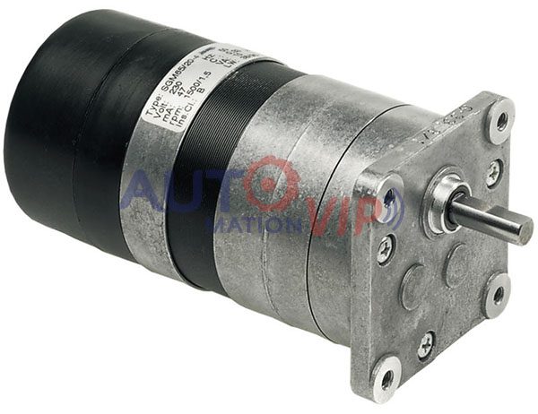 SGM65/20-4 ROTEK-ROBASE Motor